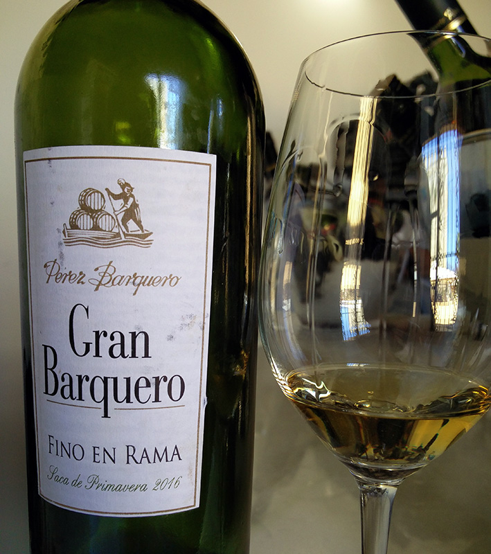 Gran Barquero Fino en Rama